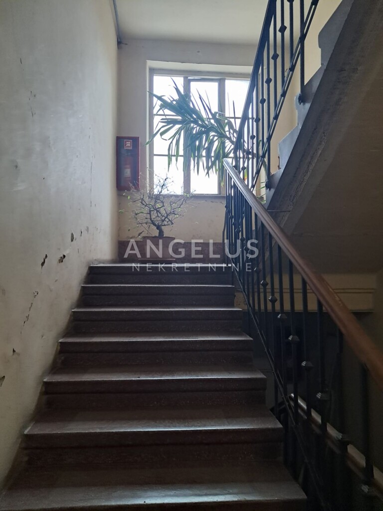 Image 19