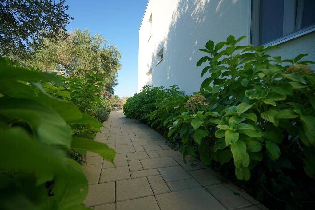 Image 20