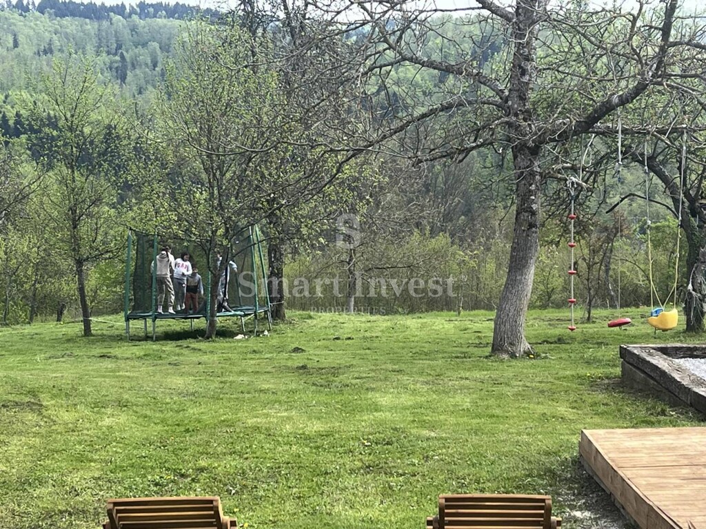 Image 12