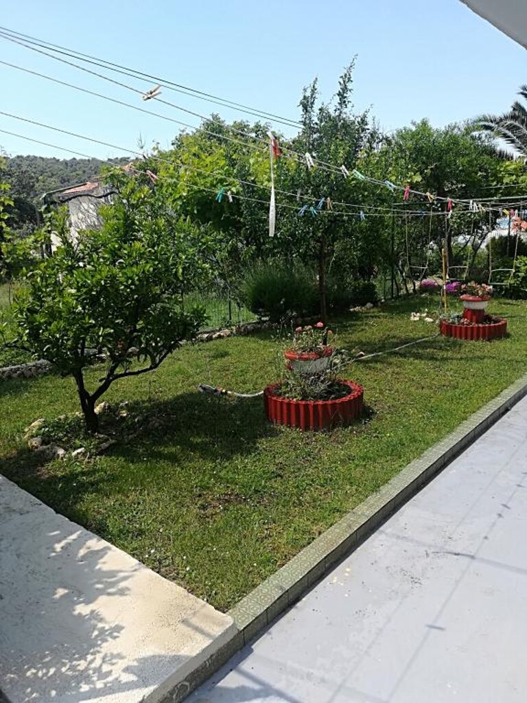 Image 3811855 - 10