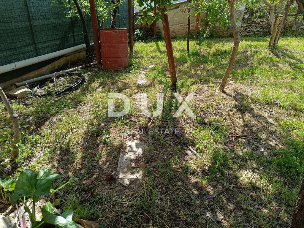 Image 19