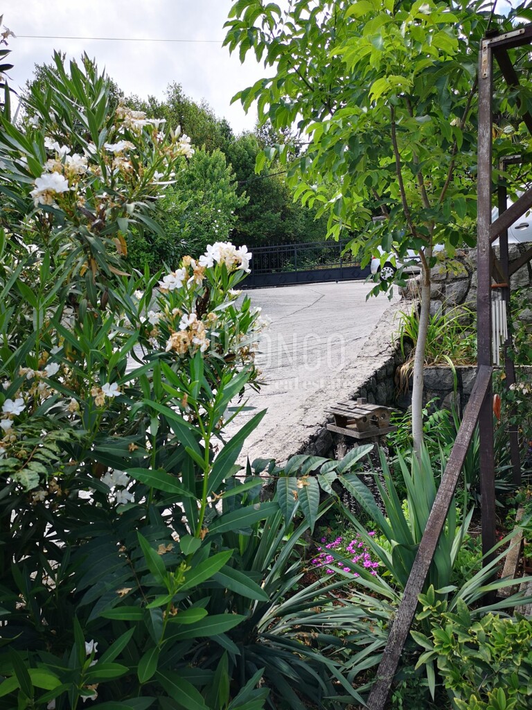 Image 16