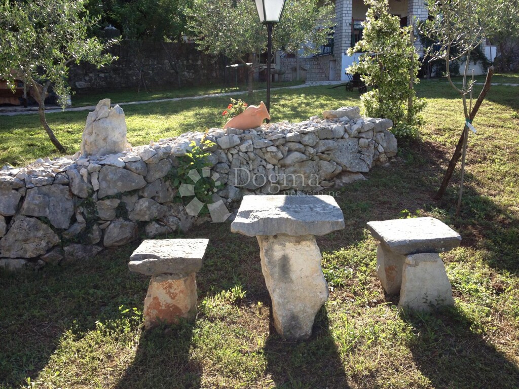 Image 16
