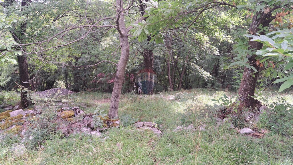 Image 5429440 - 8