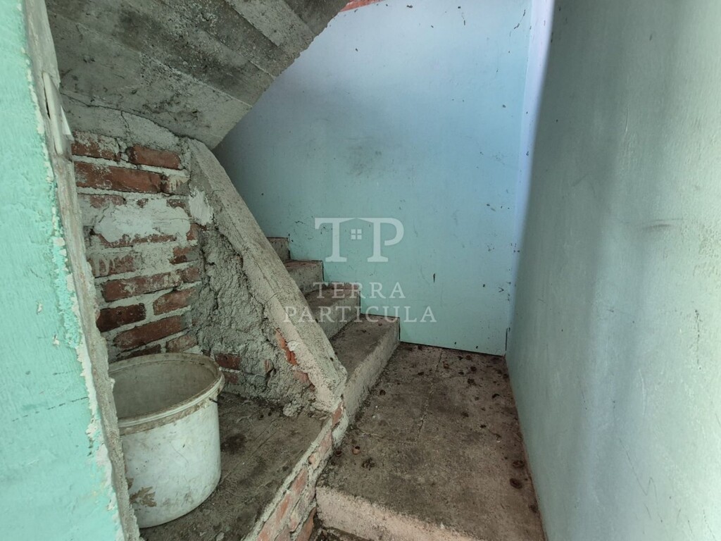 Image 19