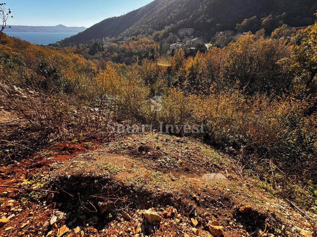 Image 13