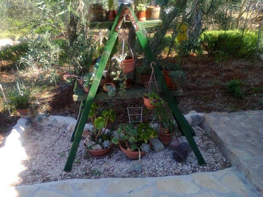 Image 3823628 - 12