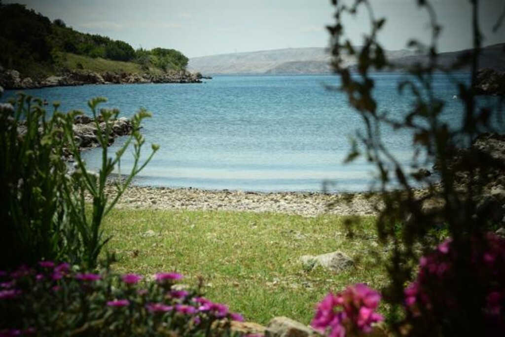 Image 3810922 - 7