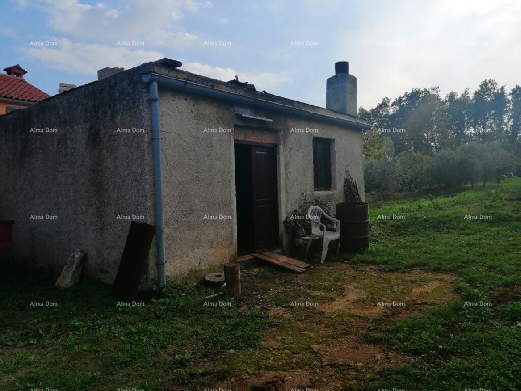Image 10