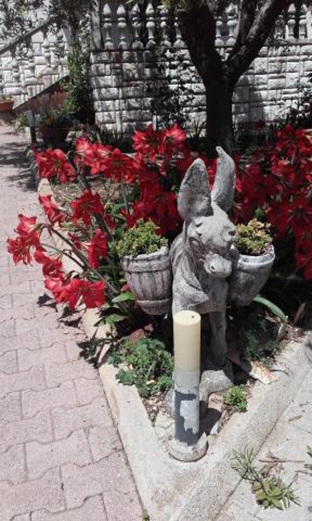 Image 3814230 - 11