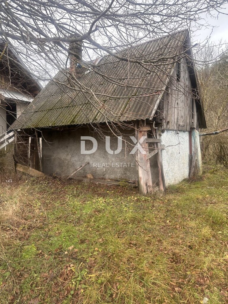 Image 9