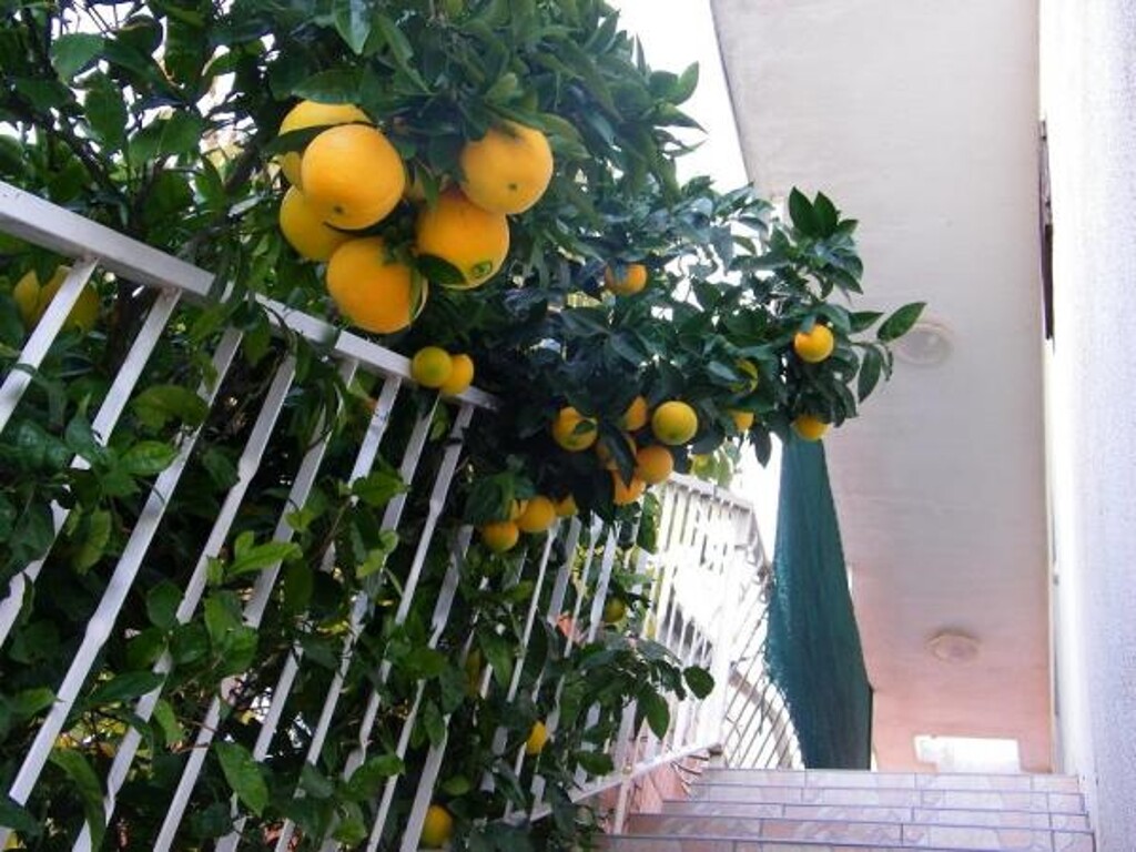 Image 3812416 - 5