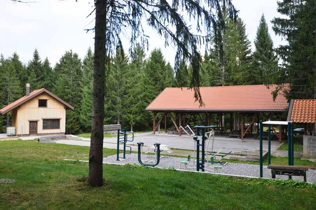 Image 12