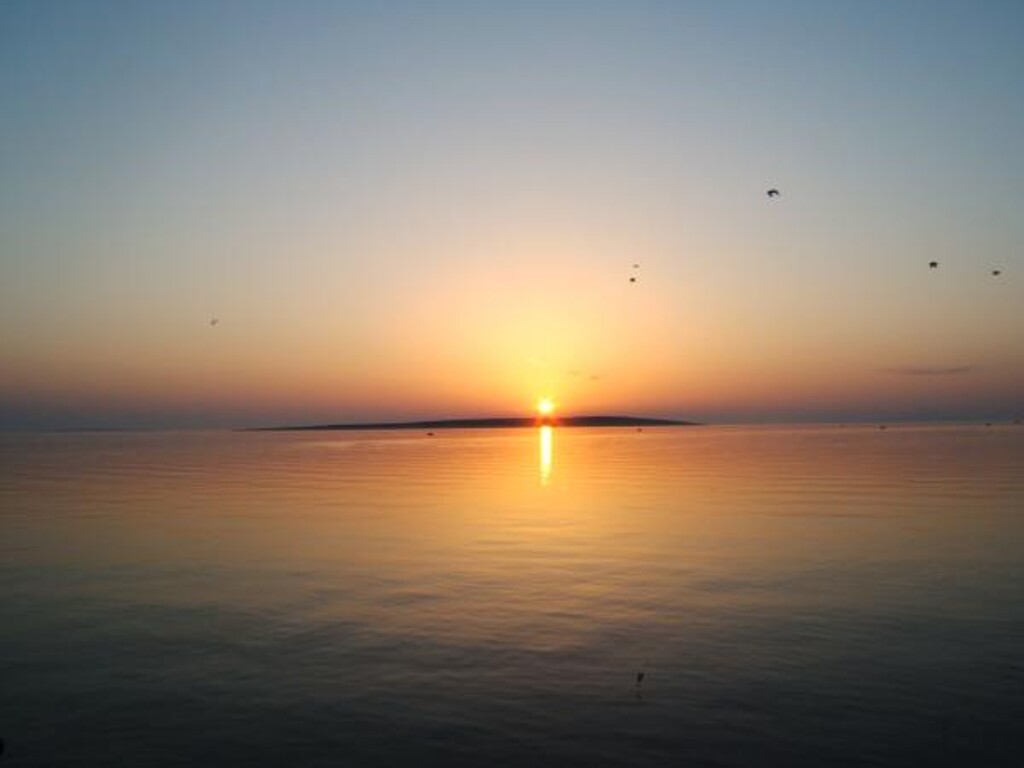 Image 3838711 - 9