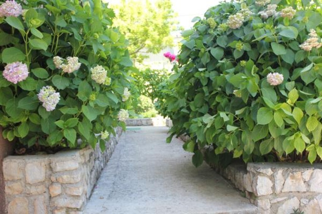Image 3812078 - 8