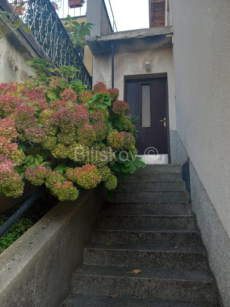 Image 6164845 - 13
