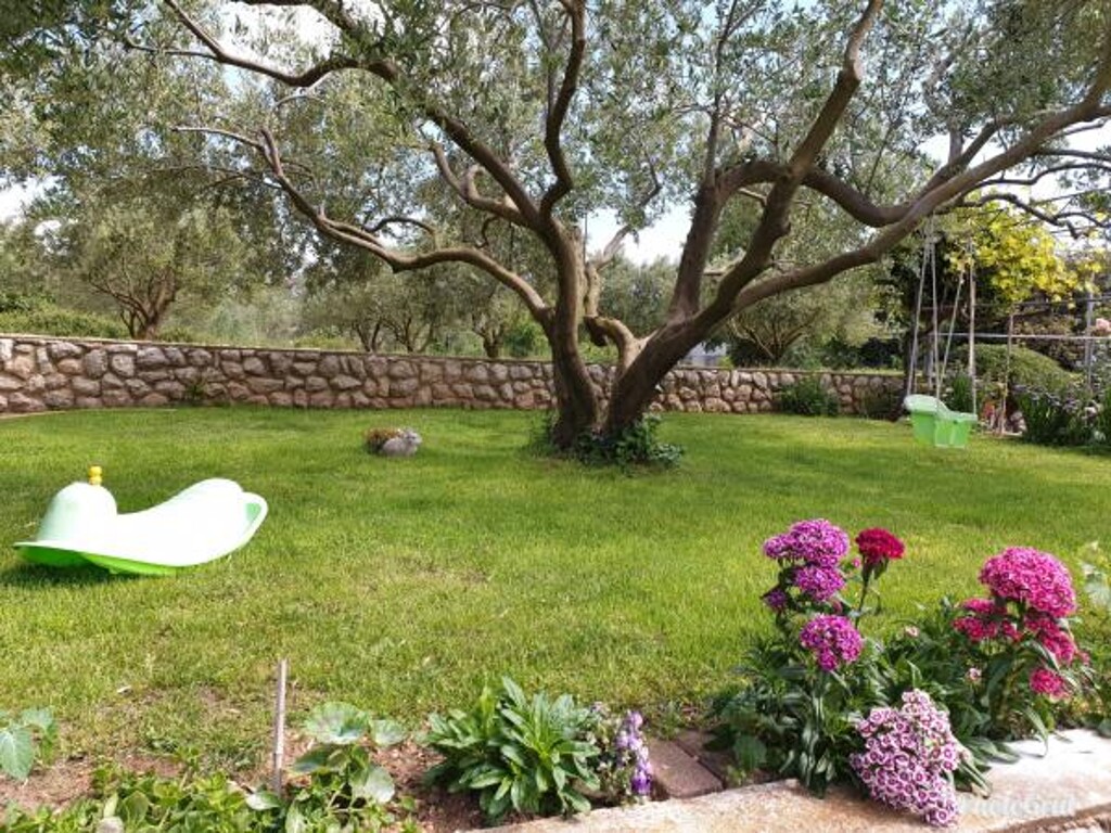 Image 3811633 - 14