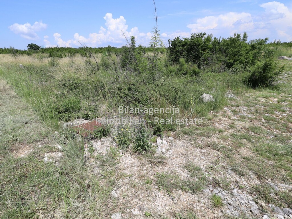 Image 5885567 - 1