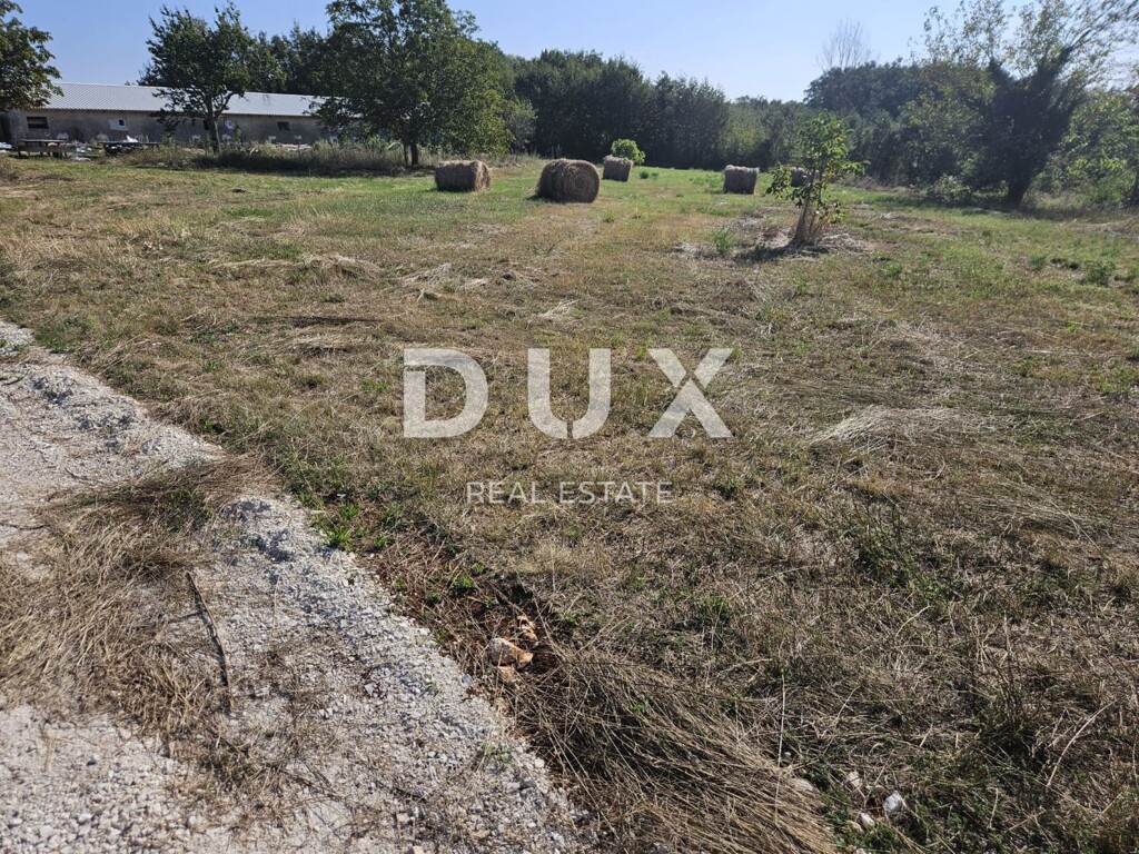 Image 13