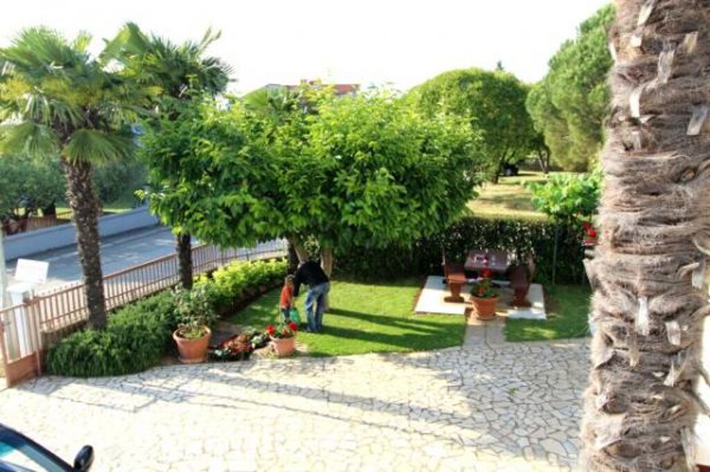 Image 3811601 - 6