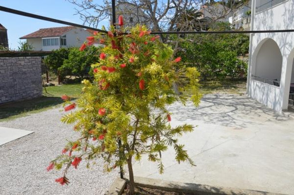 Image 3811512 - 7