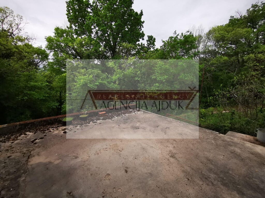 Image 13