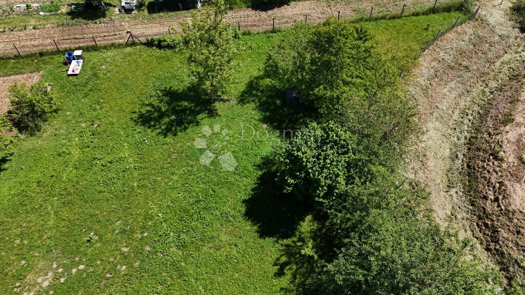 Image 14
