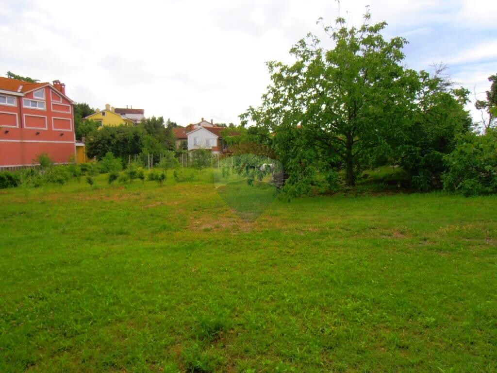 Image 5411006 - 4