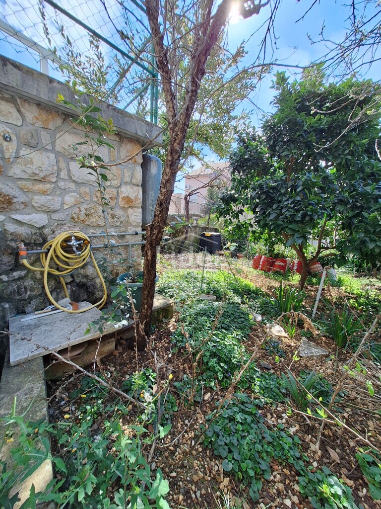 Image 20