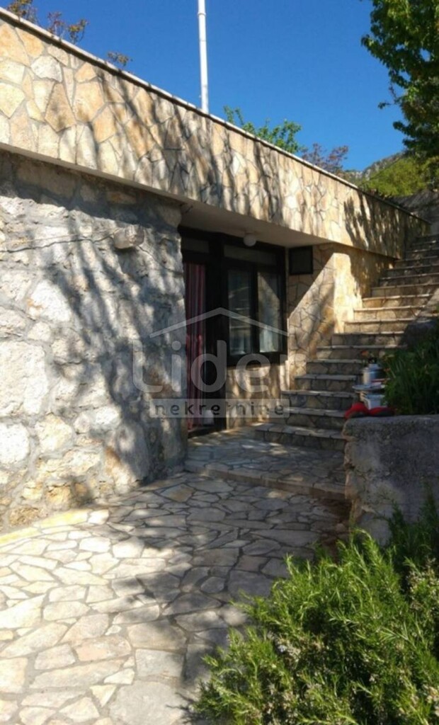 Image 19