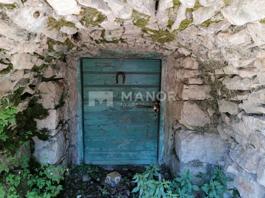 Image 13
