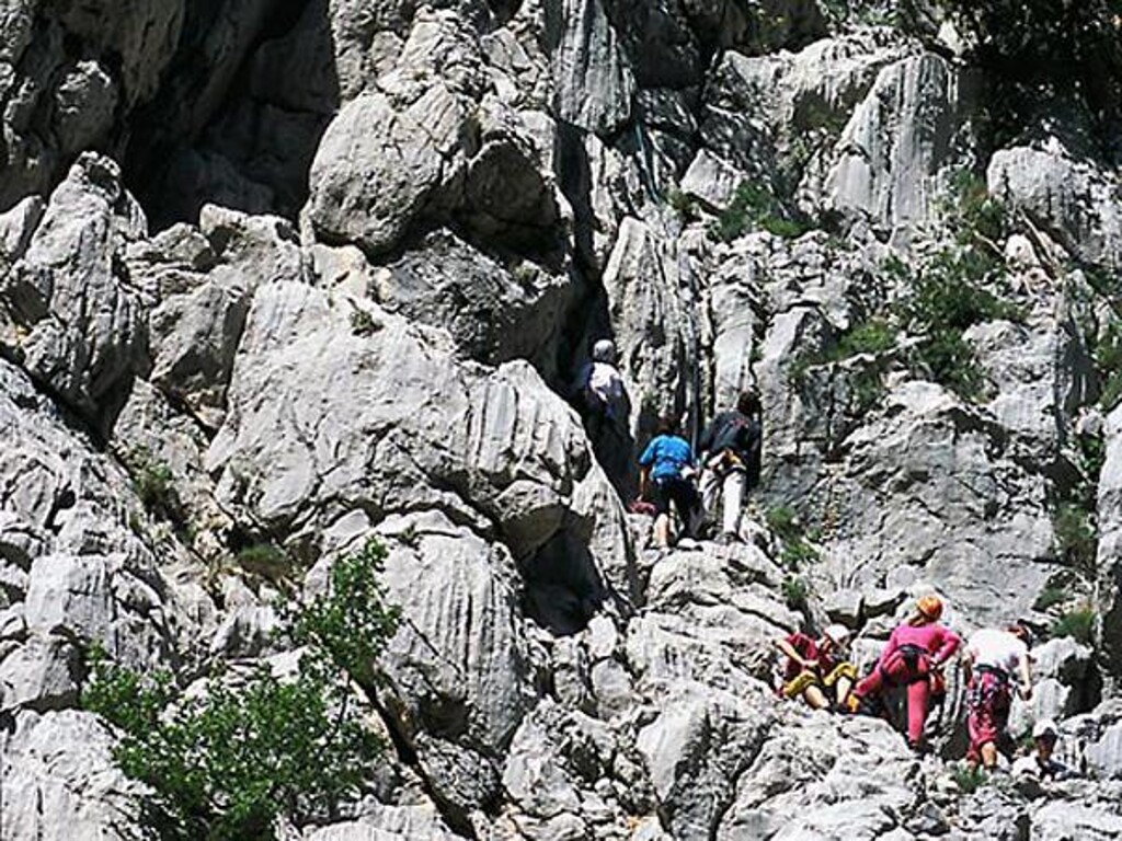 Image 3838623 - 8