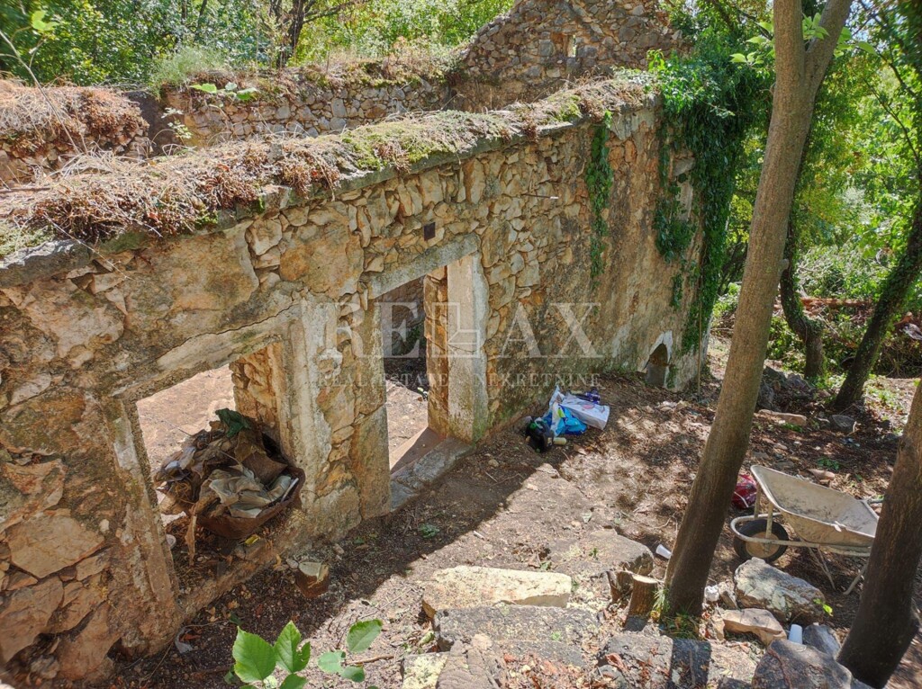 Image 13