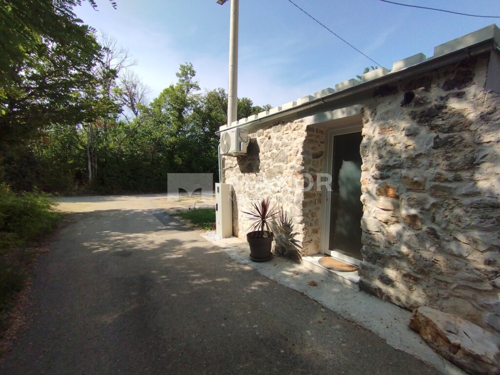 Image 21