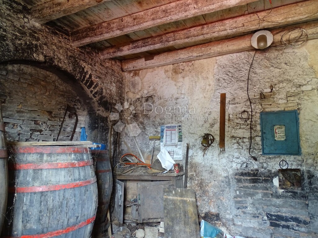 Image 13