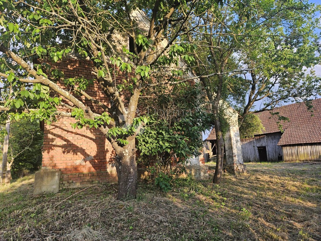 Image 8
