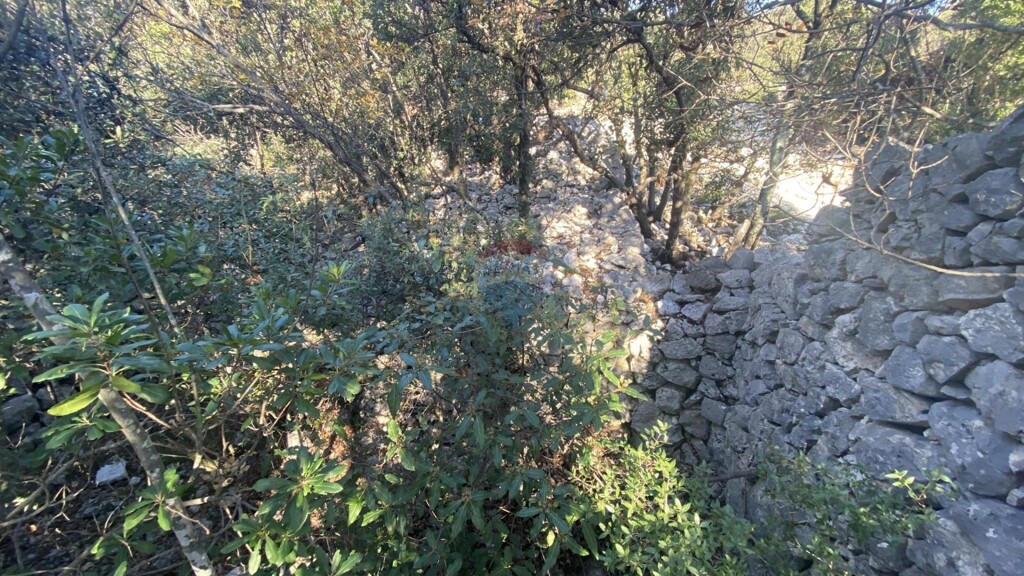 Image 13