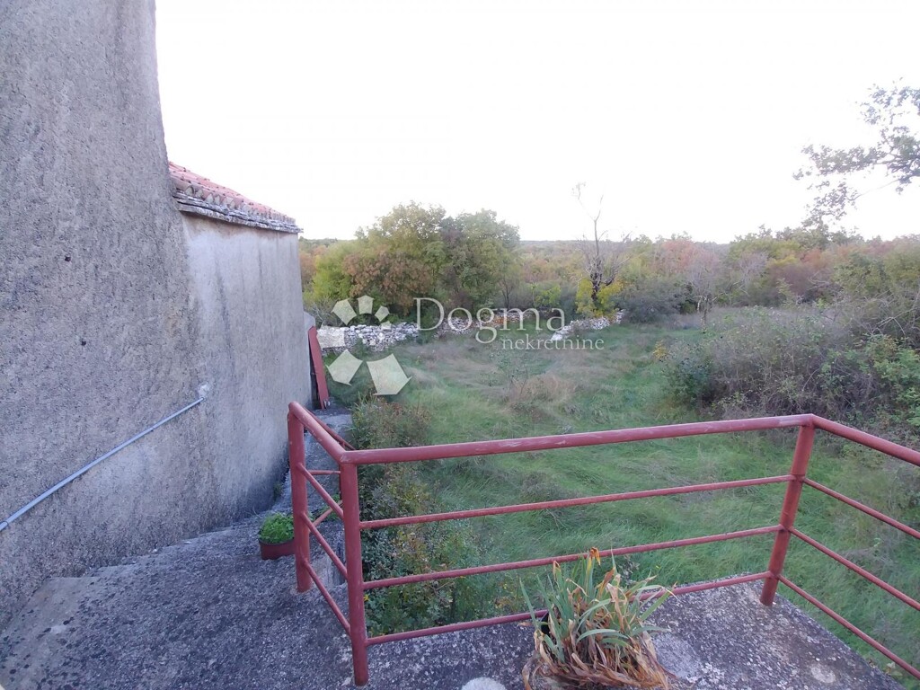 Image 15