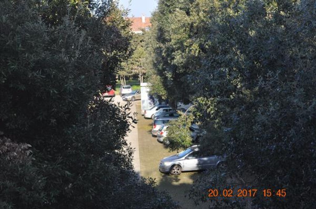 Image 3813946 - 3