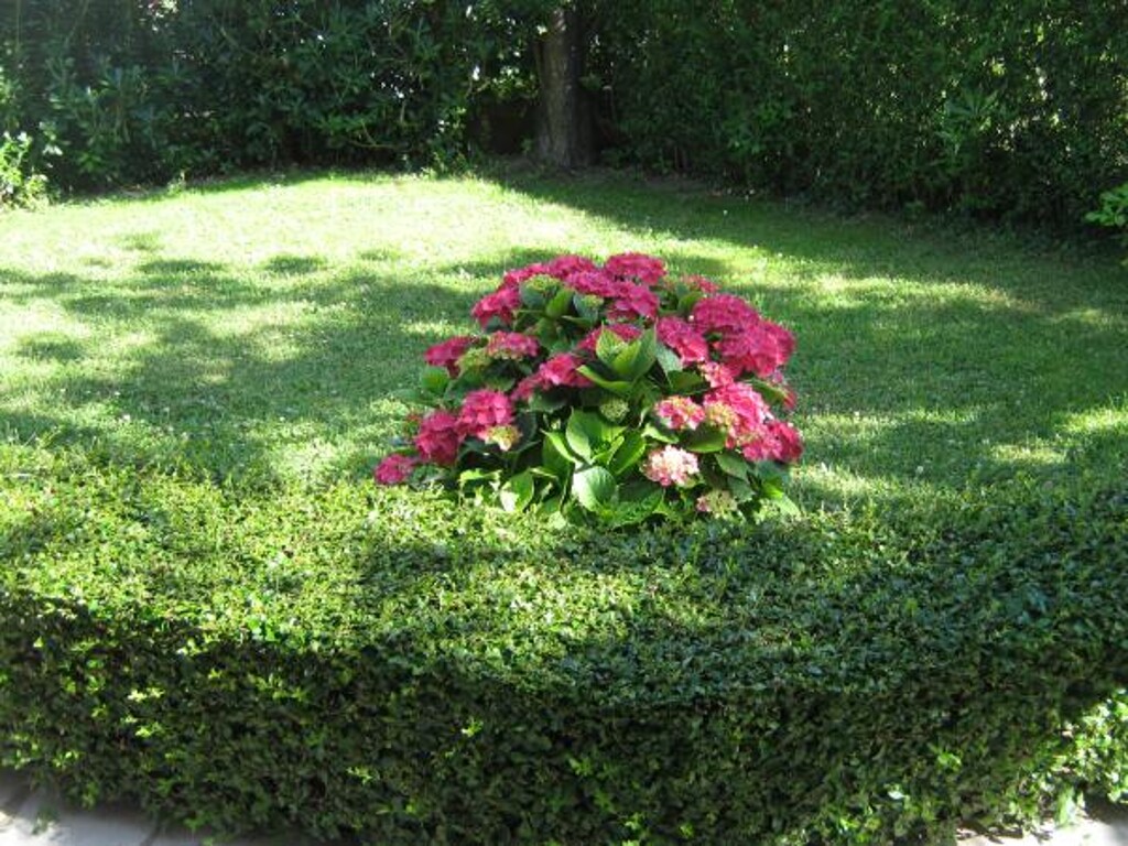 Image 3812688 - 7
