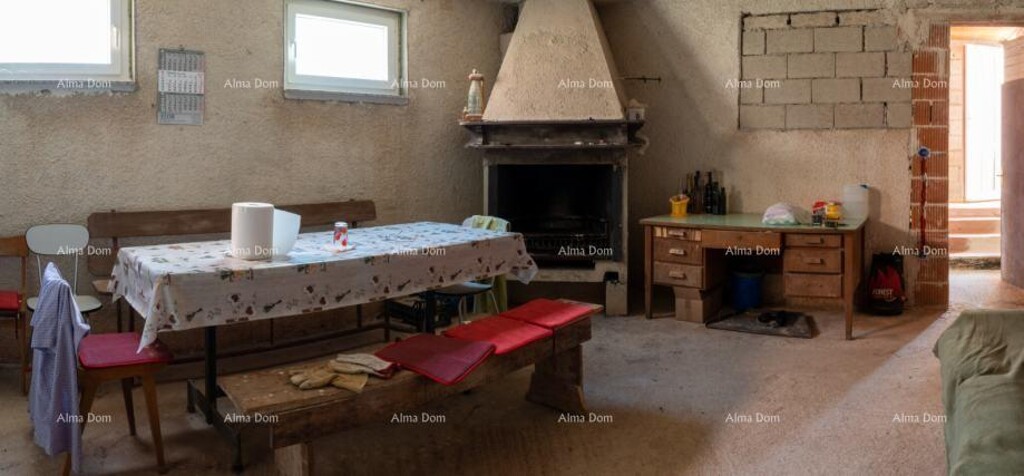 Image 12