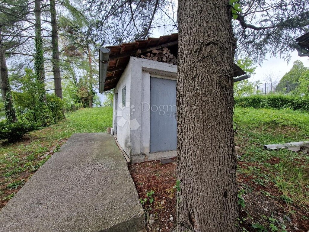 Image 10