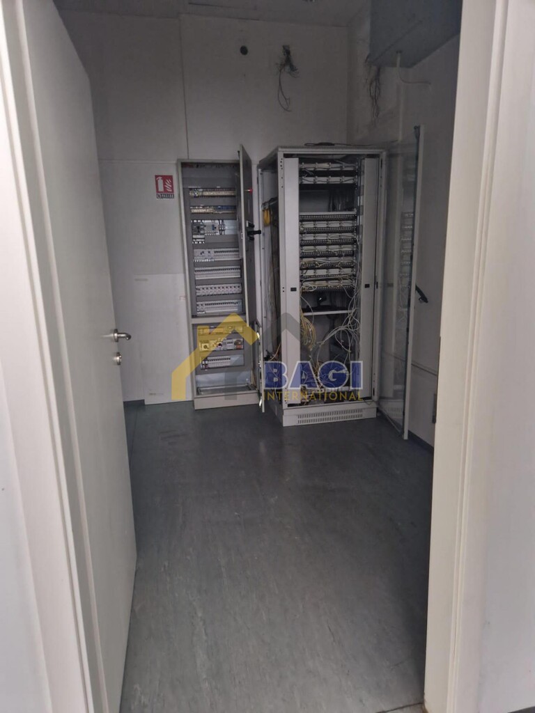 Image 12