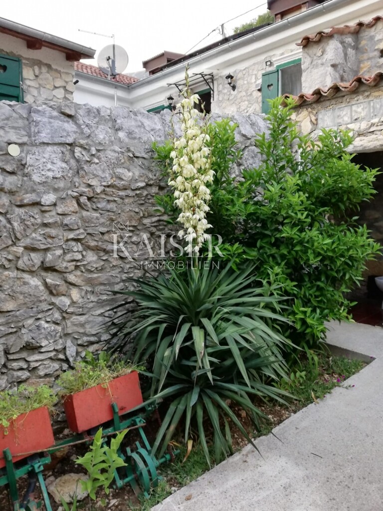 Image 20