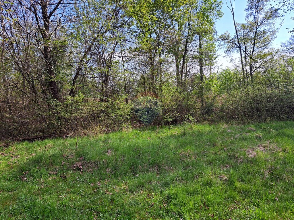 Image 5429984 - 4