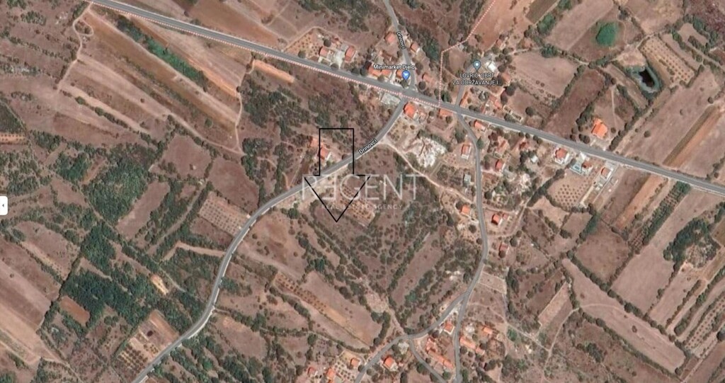 Image 12