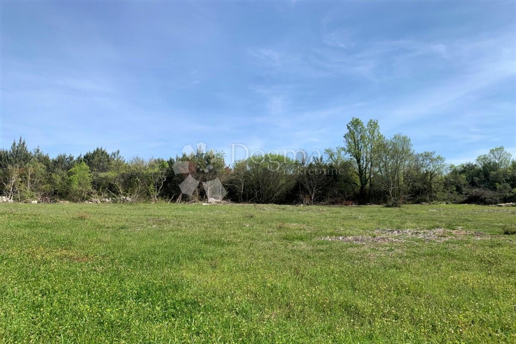 Image 13