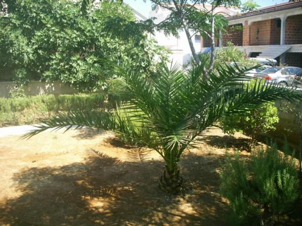 Image 3812138 - 7