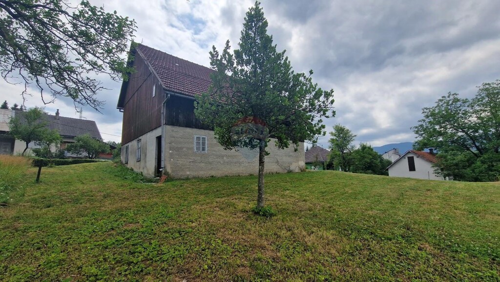 Image 13