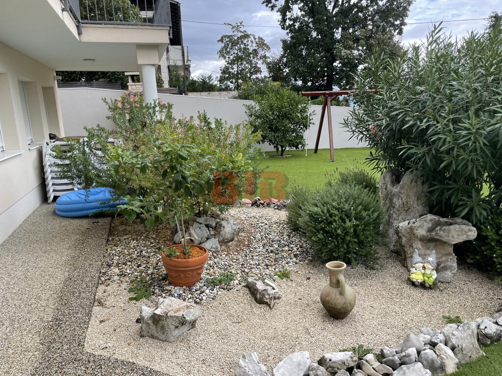 Image 20